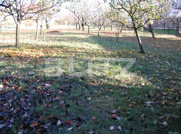 Teren de vânzare Exterior Sud - 22717TV | BLITZ Cluj-Napoca | Poza16