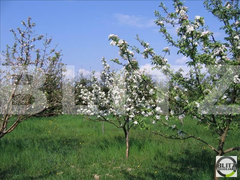 Teren de vânzare Exterior Sud - 22717TV | BLITZ Cluj-Napoca | Poza10
