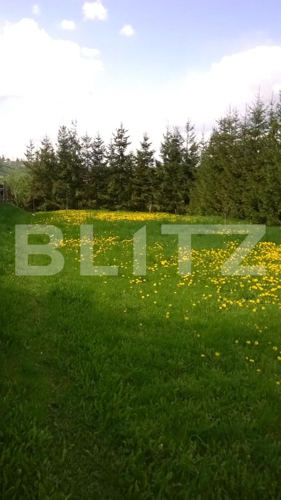 Teren de vânzare Exterior Sud - 22717TV | BLITZ Cluj-Napoca | Poza17