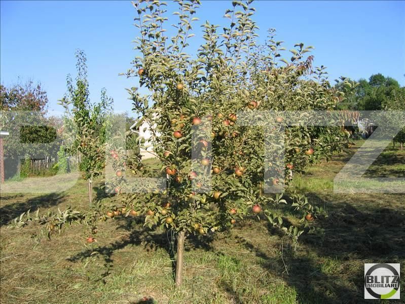 Teren de vânzare Exterior Sud - 22717TV | BLITZ Cluj-Napoca | Poza8