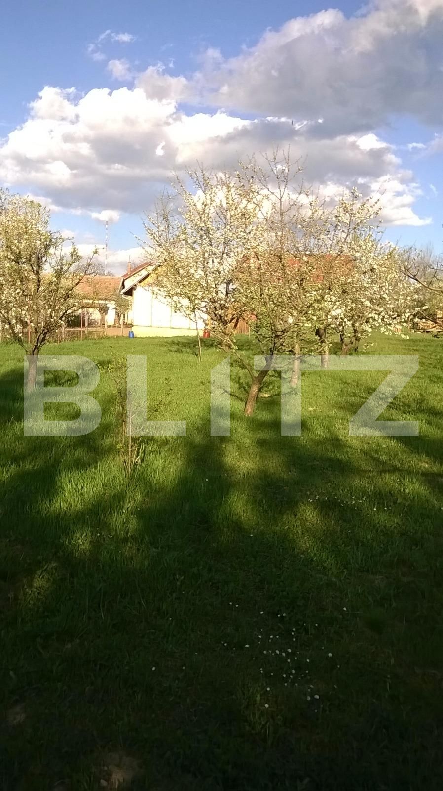 Teren de vânzare Exterior Sud - 22717TV | BLITZ Cluj-Napoca | Poza18