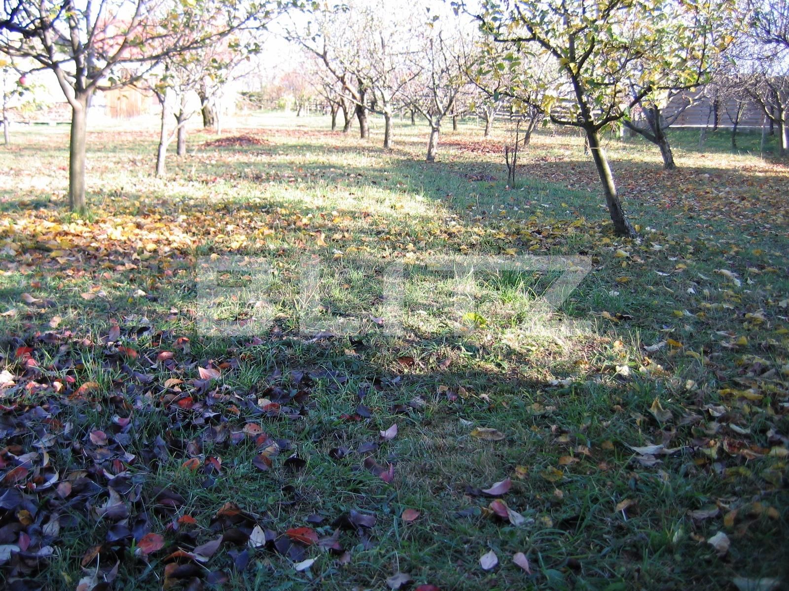 Teren de vânzare Exterior Sud - 22717TV | BLITZ Cluj-Napoca | Poza16