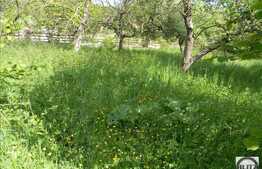 Vanzare teren 2000 mp, front stradal 28 ml, zona linistita