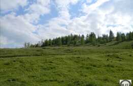 Vanzare teren 2000 mp, front stradal 28 ml, zona linistita