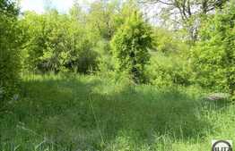 Vanzare teren 2000 mp, front stradal 28 ml, zona linistita