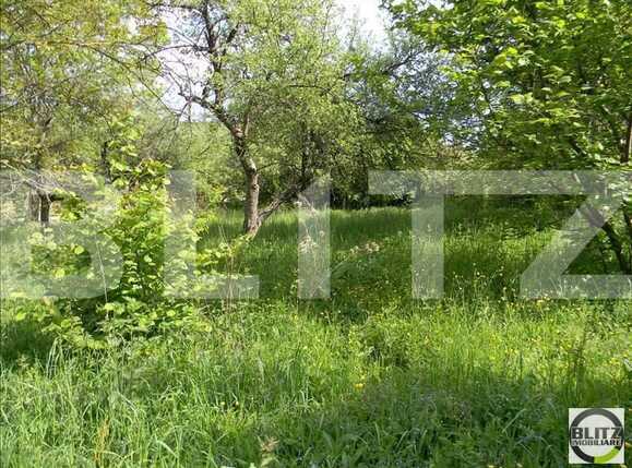 Teren de vânzare Exterior Sud - 22718TV | BLITZ Cluj-Napoca | Poza3