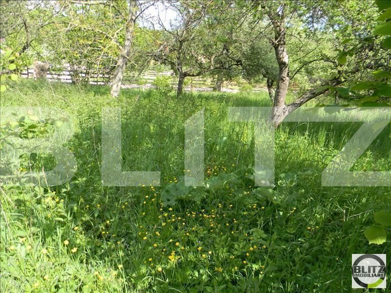 Teren de vânzare Exterior Sud - 22718TV | BLITZ Cluj-Napoca | Poza2