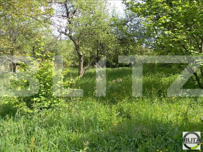 Teren de vânzare Exterior Sud - 22718TV | BLITZ Cluj-Napoca | Poza3