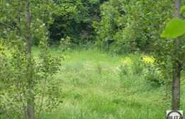 Vanzare teren 1046 mp, front stradal 19,38, zona linistita de case/vile