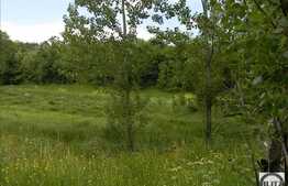 Vanzare teren 1046 mp, front stradal 19,38, zona linistita de case/vile