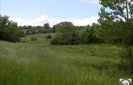 Vanzare teren 1046 mp, front stradal 19,38, zona linistita de case/vile