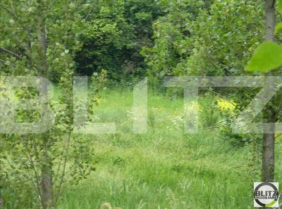 Teren de vânzare Feleacu - 22719TV | BLITZ Cluj-Napoca | Poza5
