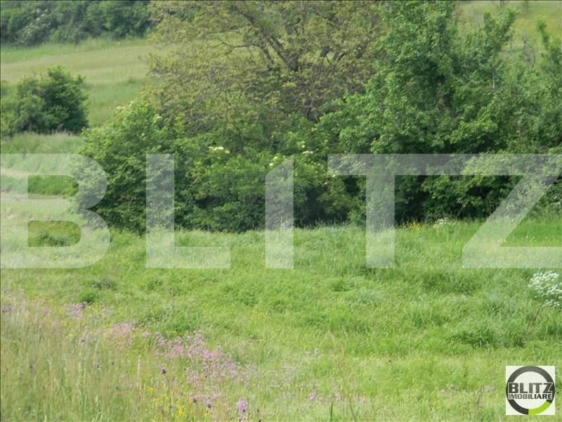 Teren de vânzare Feleacu - 22719TV | BLITZ Cluj-Napoca | Poza3