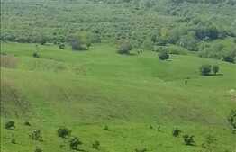 Vanzare teren 3000 mp, front stradal 80 ml, zona linistita, nou dezvoltata!