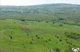 Vanzare teren 3000 mp, front stradal 80 ml, zona linistita, nou dezvoltata!