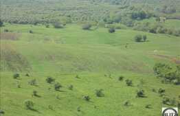 Vanzare teren 3000 mp, front stradal 80 ml, zona linistita, nou dezvoltata!