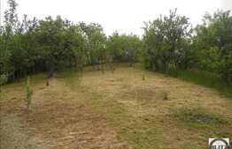 Vanzare teren 3000 mp, front stradal 30 ml, zona linistita, nou dezvoltata!