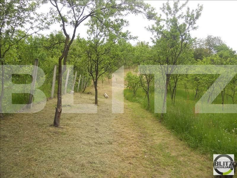 Teren de vânzare Borhanci - 22721TV | BLITZ Cluj-Napoca | Poza2