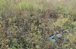 Vanzare teren 421 mp, front 17 ml, zona linistita, nou dezvoltata