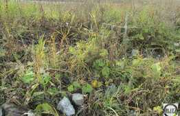 Vanzare teren 420 mp, front 17 ml, zona linistita, nou dezvoltata