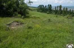 Vanzare teren 1488 mp, zona linistita de case/vile