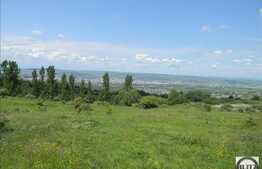 Vanzare teren 1488 mp, zona linistita de case/vile