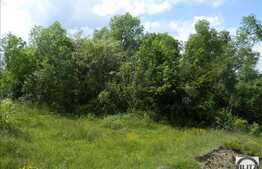 Vanzare teren 1488 mp, zona linistita de case/vile