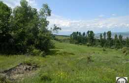 Vanzare teren 1488 mp, zona linistita de case/vile