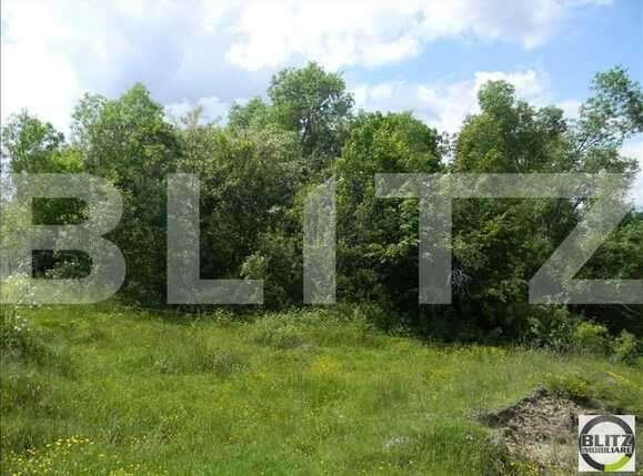 Teren de vânzare Feleacu - 22725TV | BLITZ Cluj-Napoca | Poza3