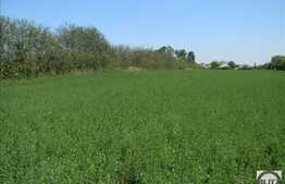 Vanzare teren 5000 mp, utilitati la front, Extras de Carte Funciara!