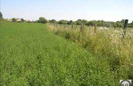 Vanzare teren 5000 mp, utilitati la front, Extras de Carte Funciara!