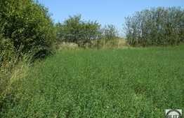 Vanzare teren 5000 mp, utilitati la front, Extras de Carte Funciara!