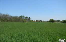 Vanzare teren 5000 mp, utilitati la front, Extras de Carte Funciara!