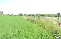 Vanzare teren 5000 mp, utilitati la front, Extras de Carte Funciara!