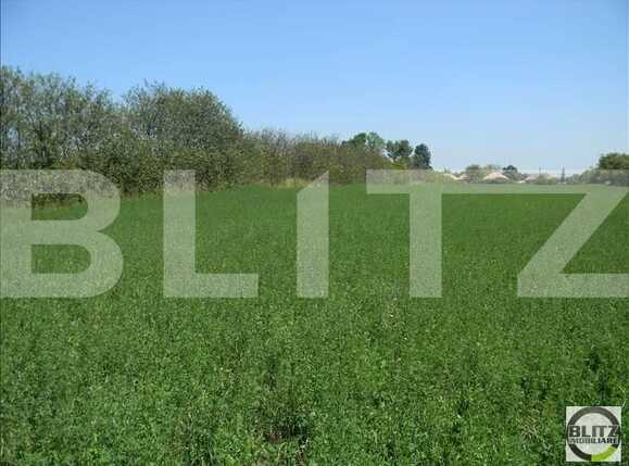 Teren de vânzare Exterior Sud - 22727TV | BLITZ Cluj-Napoca | Poza6