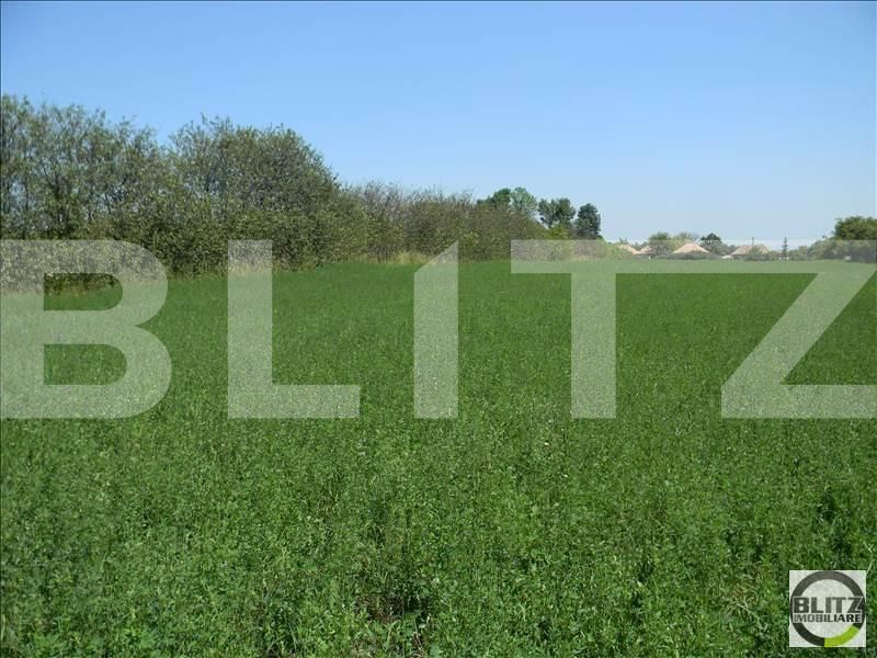 Teren de vânzare Exterior Sud - 22727TV | BLITZ Cluj-Napoca | Poza6