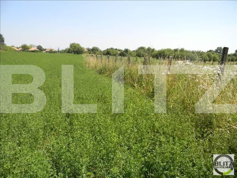 Teren de vânzare Exterior Sud - 22727TV | BLITZ Cluj-Napoca | Poza5