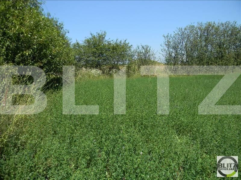 Teren de vânzare Exterior Sud - 22727TV | BLITZ Cluj-Napoca | Poza7