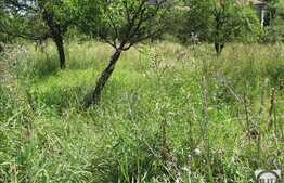 Teren de vanzare 2150 mp, front 65 ml, zona linistita de case/vile