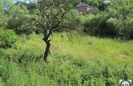 Teren de vanzare 2150 mp, front 65 ml, zona linistita de case/vile