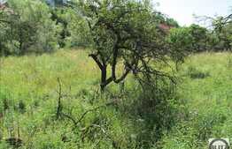 Teren de vanzare 2150 mp, front 65 ml, zona linistita de case/vile