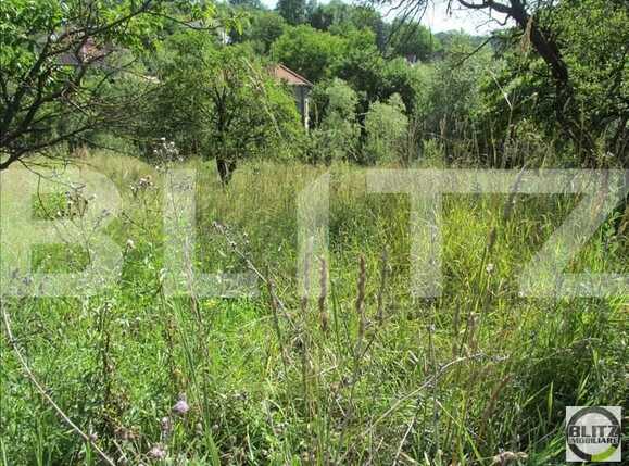 Teren de vânzare Exterior Sud - 22728TV | BLITZ Cluj-Napoca | Poza3