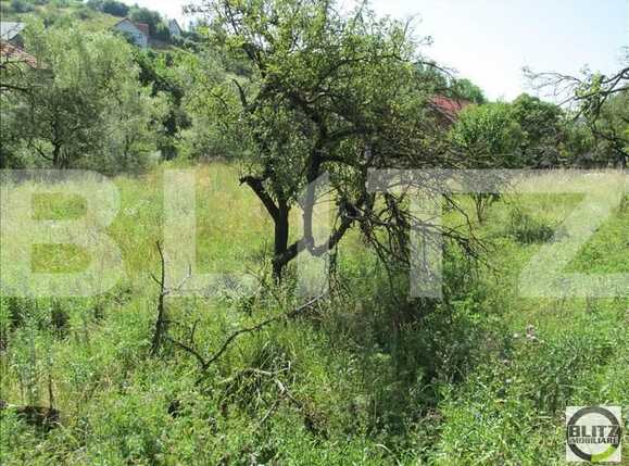 Teren de vânzare Exterior Sud - 22728TV | BLITZ Cluj-Napoca | Poza5