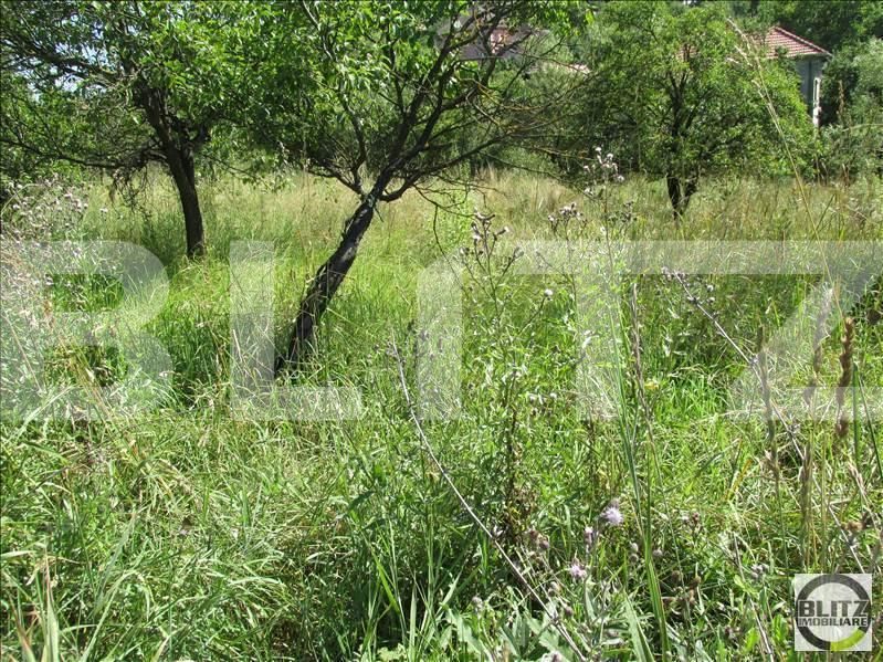 Teren de vânzare Exterior Sud - 22728TV | BLITZ Cluj-Napoca | Poza2