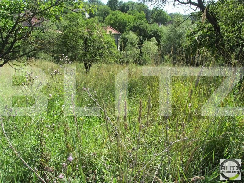 Teren de vânzare Exterior Sud - 22728TV | BLITZ Cluj-Napoca | Poza3