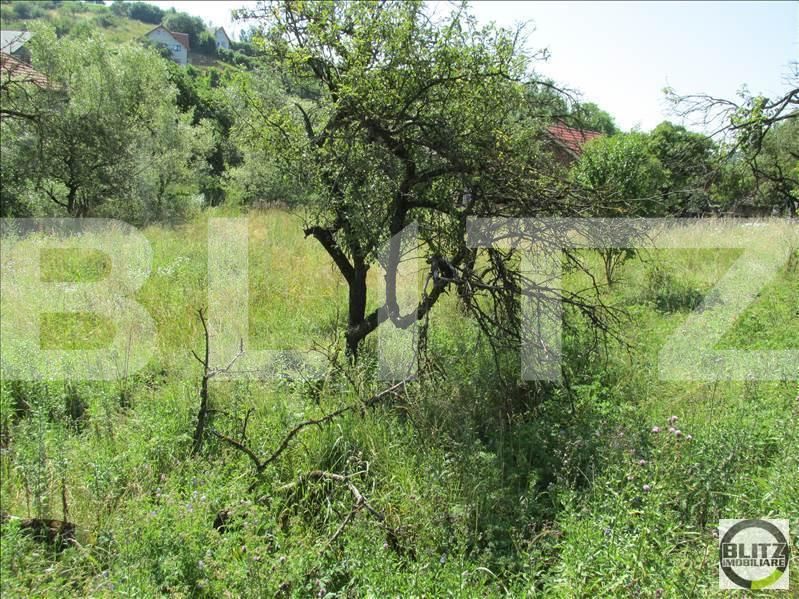 Teren de vânzare Exterior Sud - 22728TV | BLITZ Cluj-Napoca | Poza5