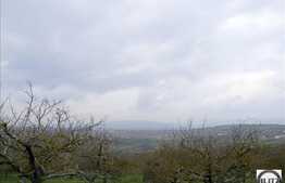 650 mp teren in zona Borhanci pentru casa individuala!