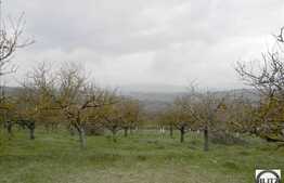 650 mp teren in zona Borhanci pentru casa individuala!