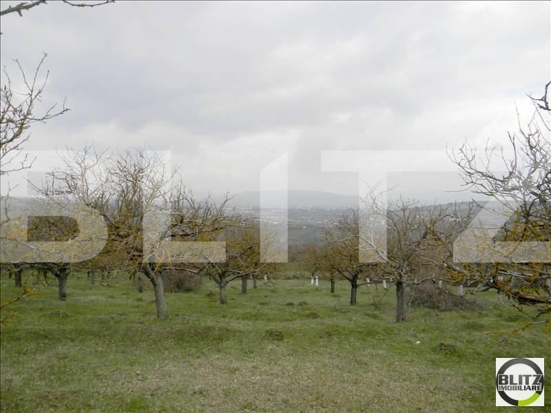 Teren de vânzare Borhanci - 22730TV | BLITZ Cluj-Napoca | Poza2