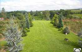 MICUL PARADIS DIN BUNA ZIUA !!